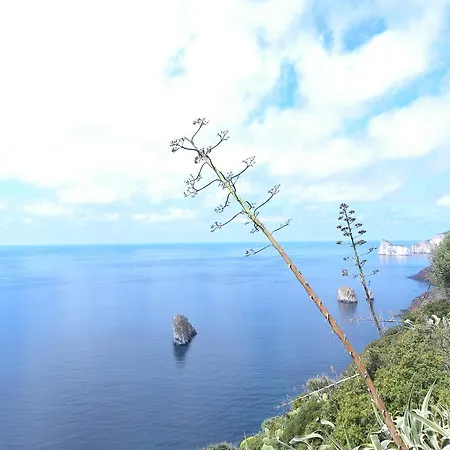 Lovely House * Nebida