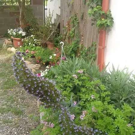 Lovely House Apartment Nebida